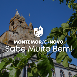 Municipio Montemor