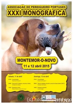 monografica_perdigueiro_portugues
