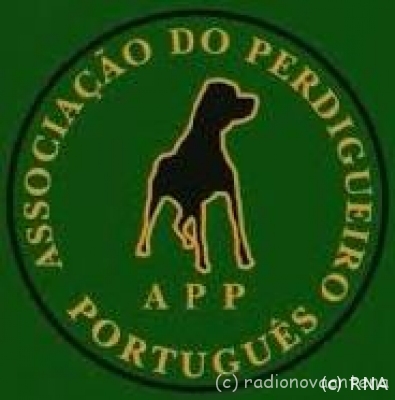 Associao_do_Perdigueiro_Portugus