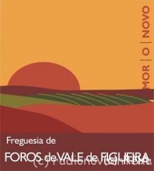 Foros_de_Vale_de_Figueira