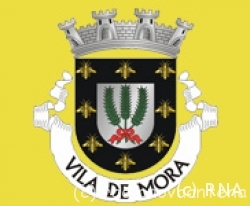 logo_mora