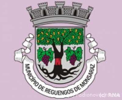 logo_cmreguengos