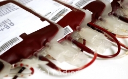 doar_sangue
